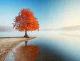 什‌么‌是﻿定‌制‍化​服‌务‌